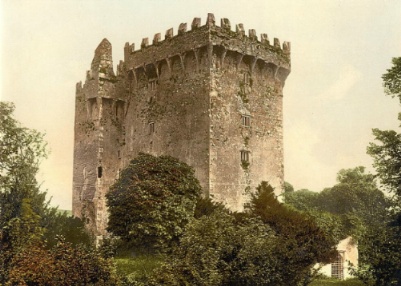 blarneyinfopic.JPG (58958 bytes)