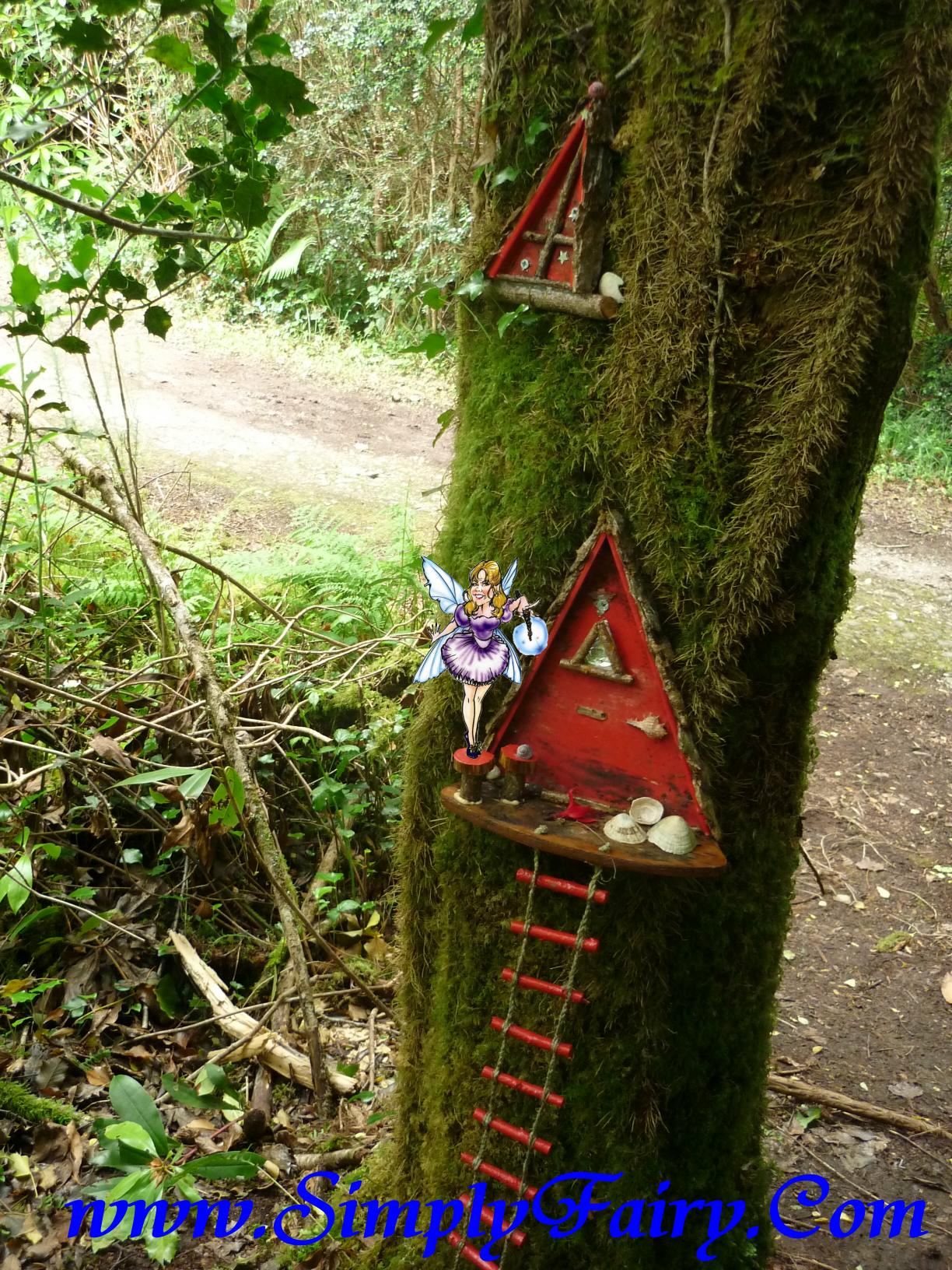 FairyLadder.JPG (35749 bytes)