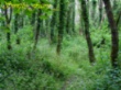 13.JPG (6606 bytes)