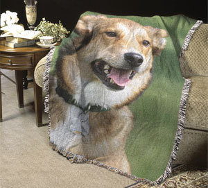 dogoncouch.JPG (26458 bytes)